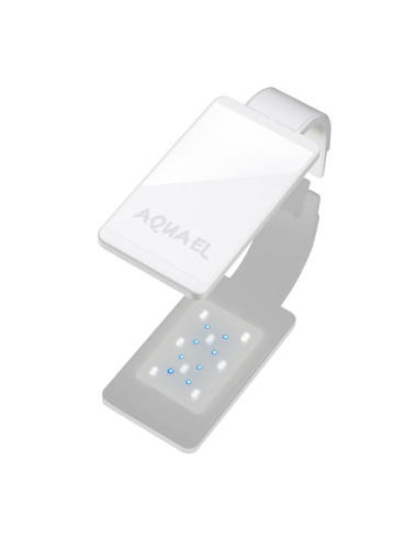 AQUAEL - Leddy Smart 2 Sunny - Blanche - Day & Night