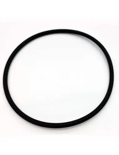 DELTEC - O-ring za črpalko...