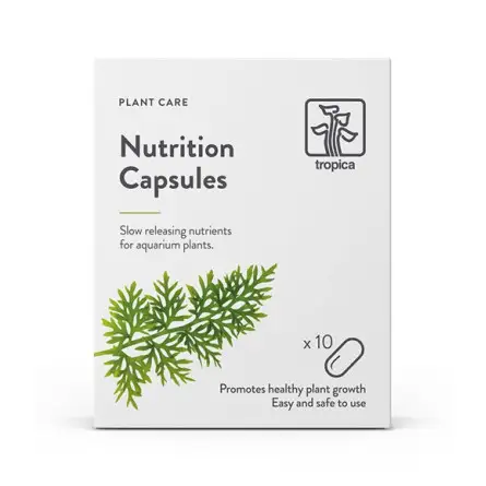 TROPICA - Nutrition Capsules - 10 caps - Engrais à libération lente TROPICA - Nutrition Capsules - 10 caps - Engrais à libération lente