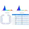 MAXSPECT - Ethereal Infinite - Rampe LED pour le marin