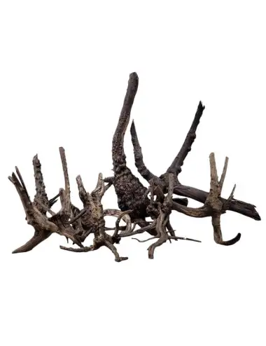 WIO - Tronco de árbol negro - S - Raíz 10 a 20 cm