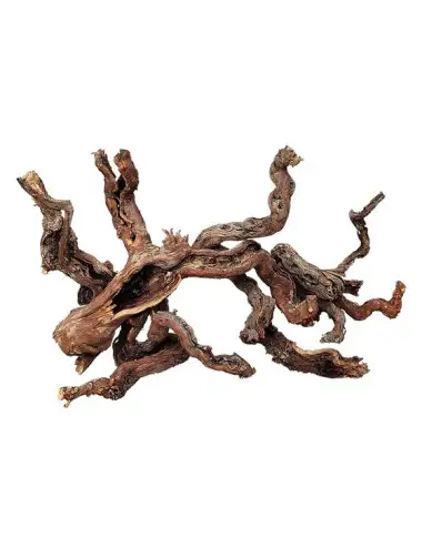 WIO - Centurion Wood - S -...