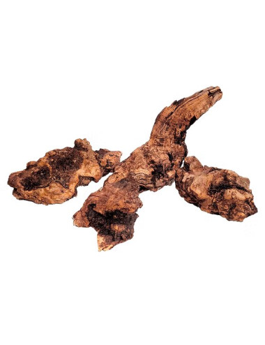 WIO - Stone Wood - S - Racine 10 à 20 cm