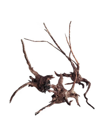 WIO - Madeira listrada - S - Raiz 20 a 40 cm