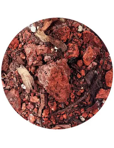 WIO - Biotopo del letto del...