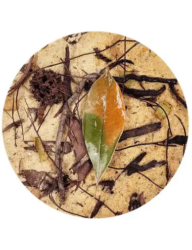 WIO - Everglades Biotoop - 2kg