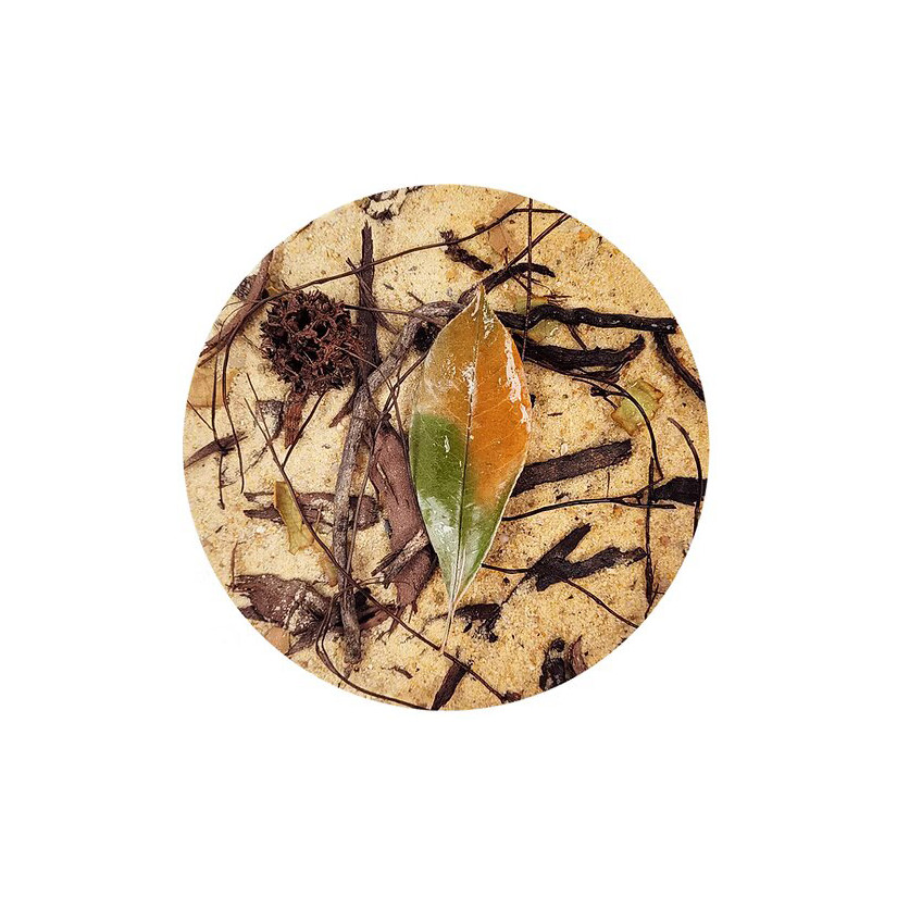 WIO - Everglades Biotope - 2kg