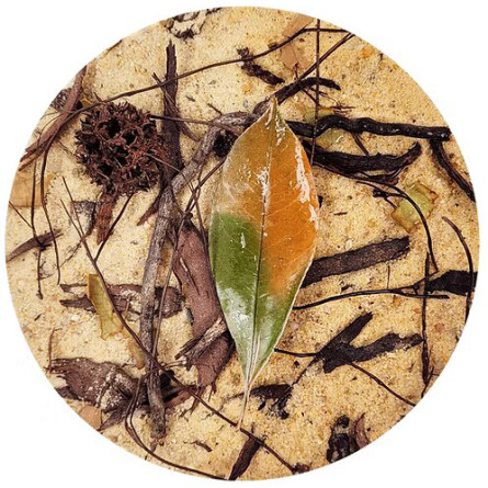 WIO - Everglades Biotope - 2kg