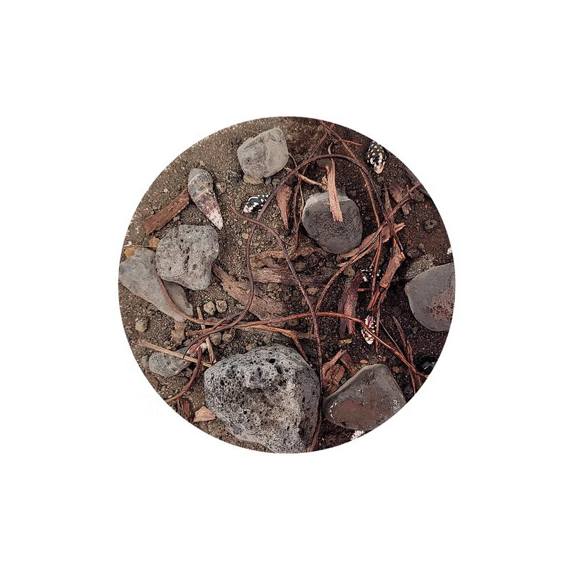 WIO - Beck Biotope - 5kg