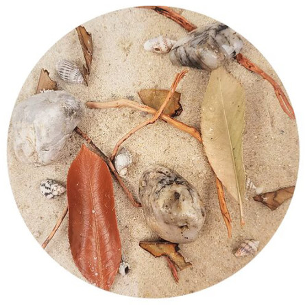 WIO - Rivulet Biotope - 5kg