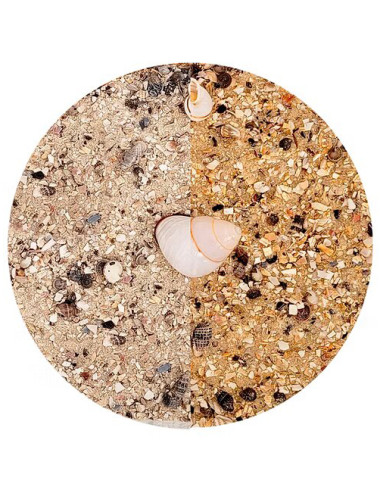 WIO - Nautilus Light - 2kg