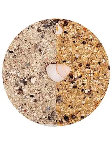 WIO - Nautilus Light...