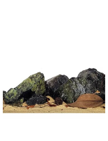 WIO - Kit Everglades River - Kit complet d'aquascaping