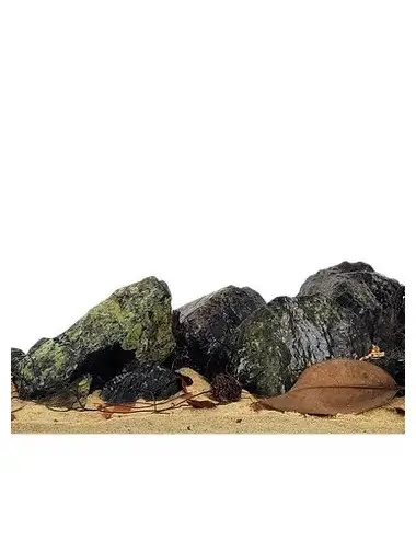 WIO - Kit para el río Everglades - Kit completo de paisajismo acuático