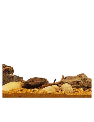 WIO - Kit Mere River - Kit complet d'aquascaping