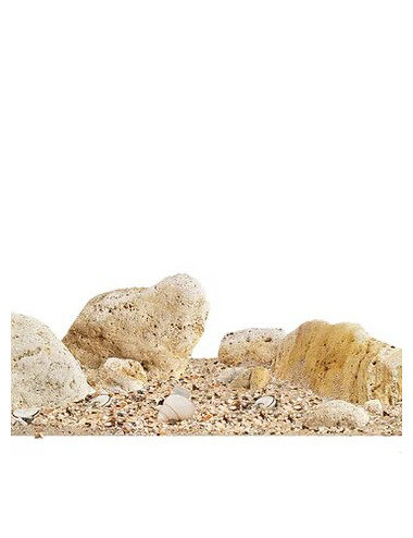 WIO - Kit Nautilus Light River - Kit complet d'aquascaping