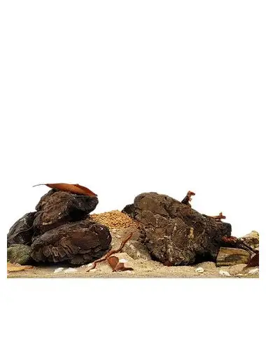 WIO - Rivulet River Kit -...