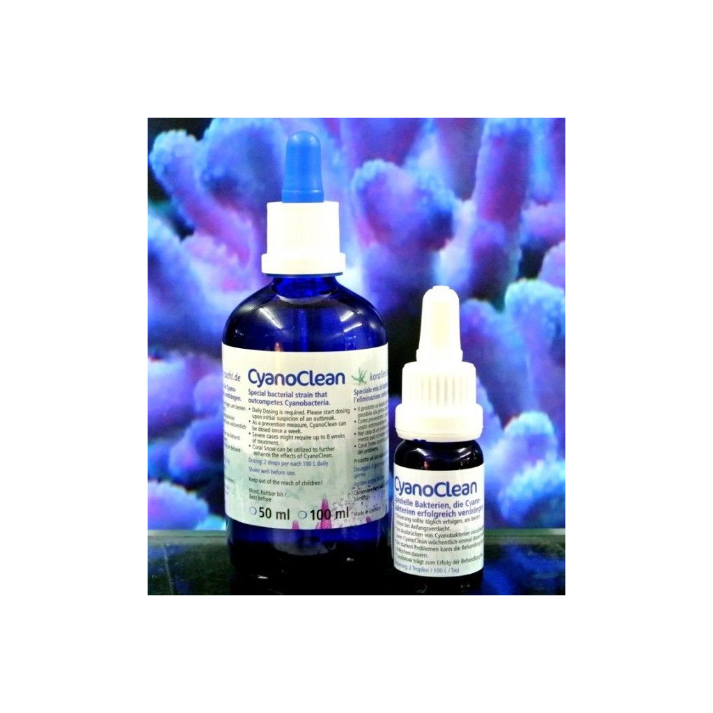 KORALLEN-ZUCHT - Cyano Clean - 10 ml - Bakterijski sev
