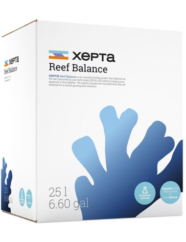 Xepta - Equilíbrio de...