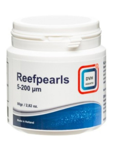 REEF INTERESTS - Riffperlen...