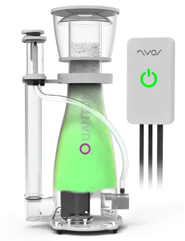 NYOS - Quantum 160 EQ - Bis...