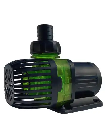 DD H2OCEAN - Bomba...