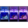 MAXSPECT - Jump MJ-L230R – Refugium 30W - Rampe Led pour aquarium marin