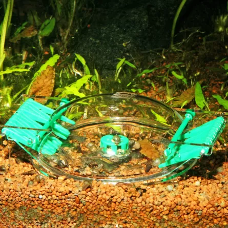 JBL - LimCollect II - Snail Trap
