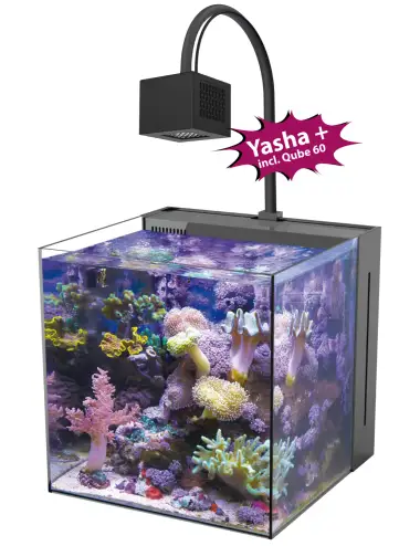 copy of AQUA MEDIC - Yasha...