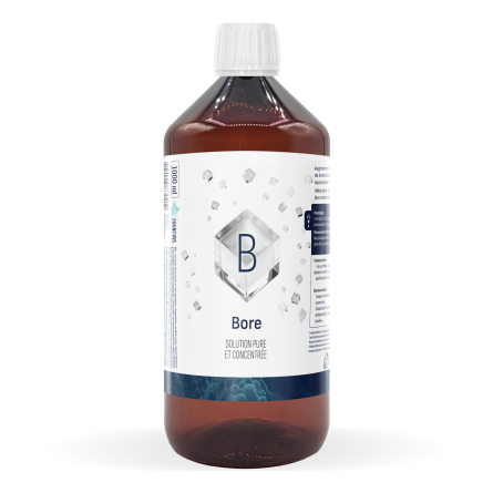 ZOANTHUS LAB - Bore - 1000ml