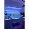 ATI - Straton Flex G2 102 - Anthracite - Rampe LED pour aquarium Récifal
