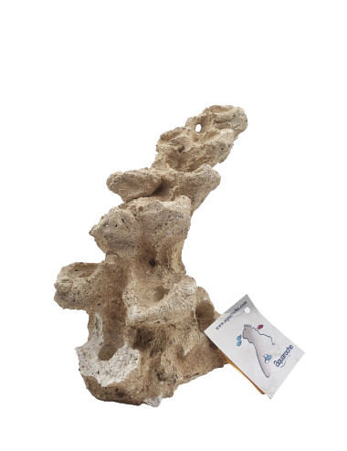 AQUAROCHE - Zoa Garden Rock Arche - 19-23 cm - 12 plugs - RECONDITIONNE