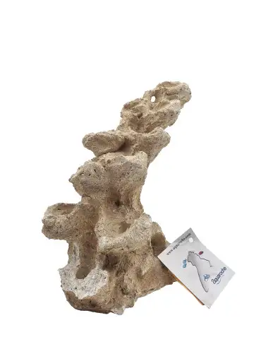 AQUAROCHE - Zoa Garden Rock Arche - 19-23 cm - 12 plugs - RECONDITIONNE
