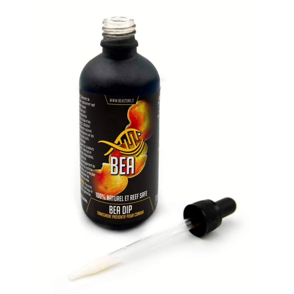 BEA - Dip - Désinfectant - 100 ml