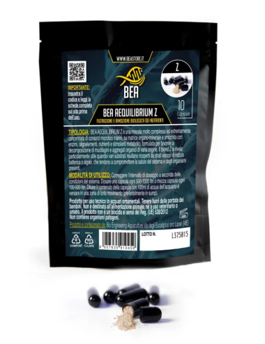 BEA - Aequilibrium Z -...