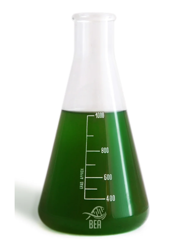 copy of BEA - Synecho Mix -...