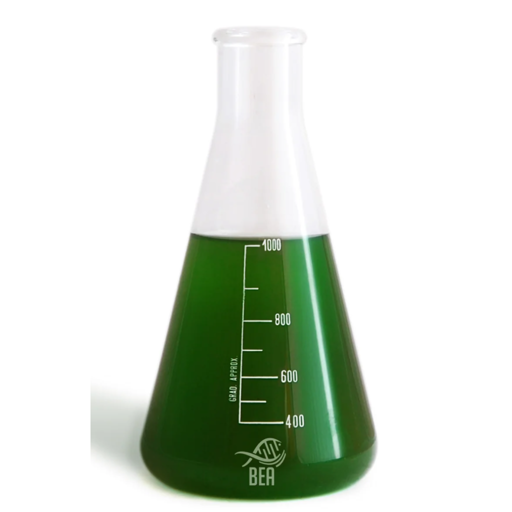 BEA - Green PRO -  Phytoplancton Marin - 1L