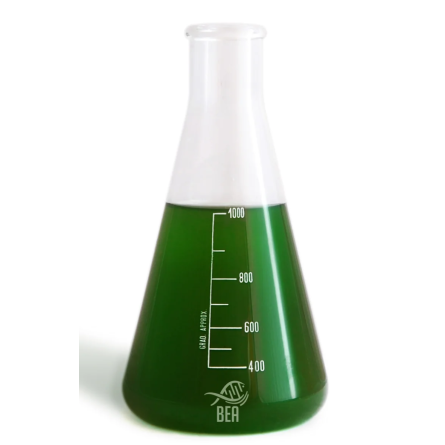 BEA - Green PRO -  Phytoplancton Marin - 1L