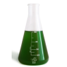 BEA - Green PRO -  Phytoplancton Marin - 1L