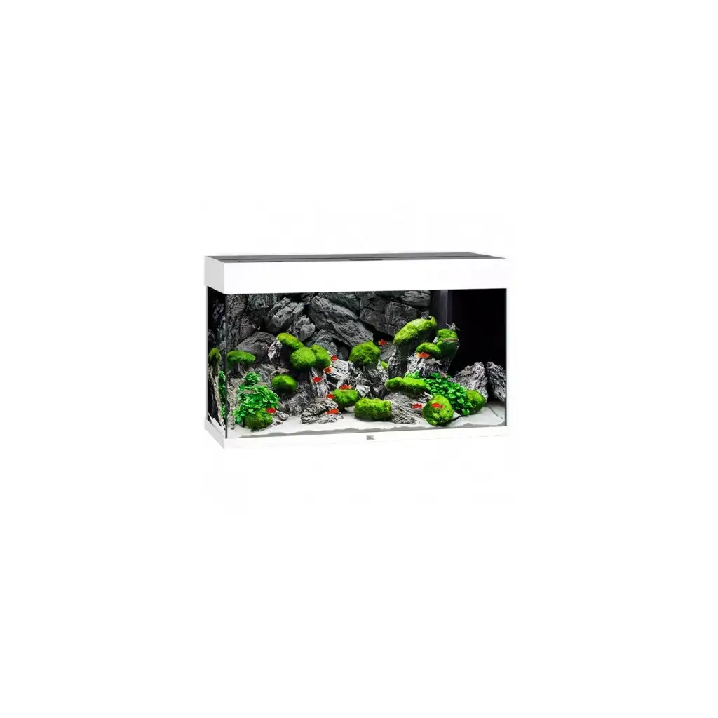 JUWEL - Rio 125 LED BLANC - Aquarium tout équipé - Livraison gratuite