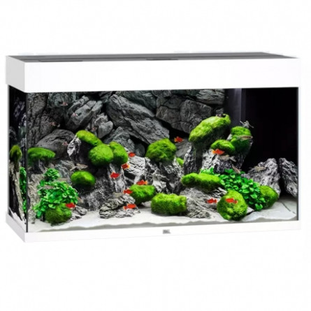 JUWEL - Rio 125 LED BLANC - Aquarium tout équipé - Livraison gratuite
