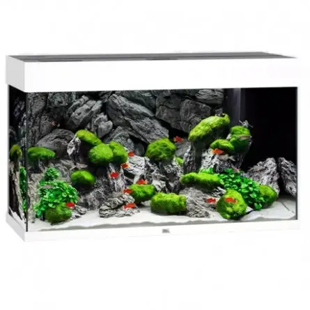 JUWEL - Rio 125 LED BLANC - Aquarium tout équipé - Livraison gratuite