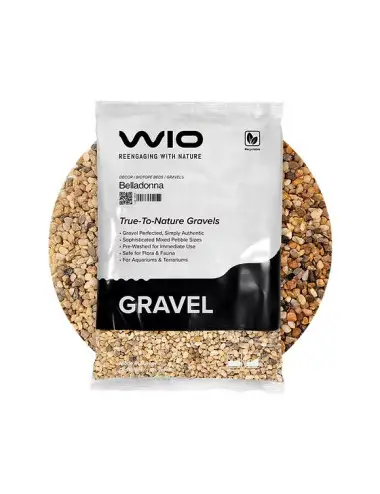 WIO - Gramoz Belladonna -...