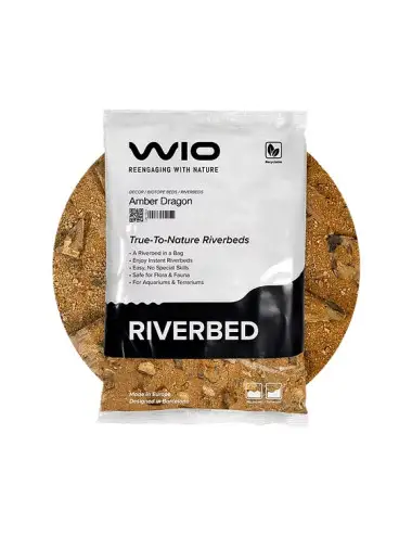 WIO - Lecho del río Ambert...