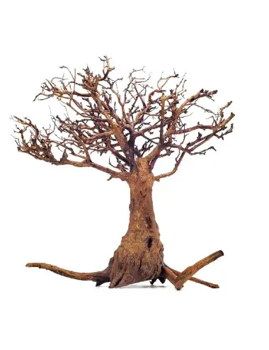 WIO - Boomarboretum -...