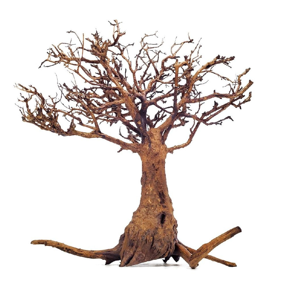 WIO - Tree Arboretum - Taille S