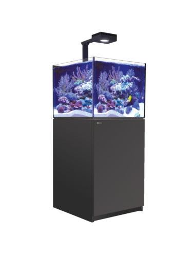 RED SEA - Reefer 200 G3 Deluxe - Meuble noir - 200 litres
