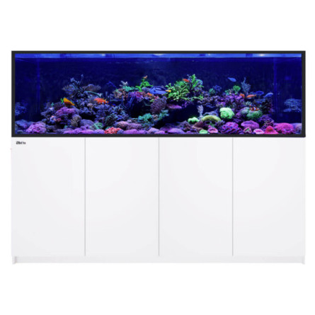 RED SEA - Reefer 525 G3 - Blanc - 540L