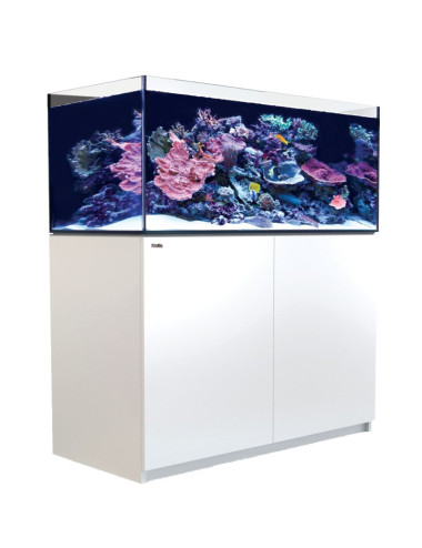 RED SEA - Kylcontainer 425...