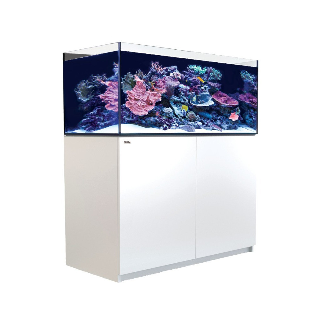 RED SEA - Reefer 425 G3 - Blanc - 433L